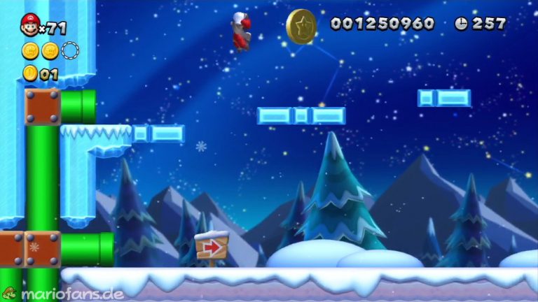 nsmbu_l_w4_l6_006