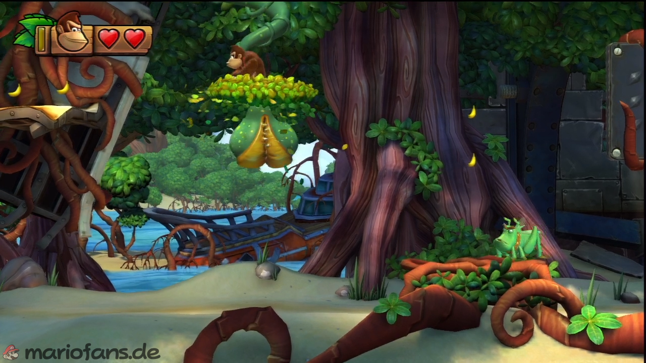 dkctf_l_w1_l1_005