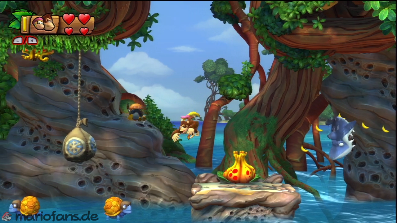 dkctf_l_w1_l2_014