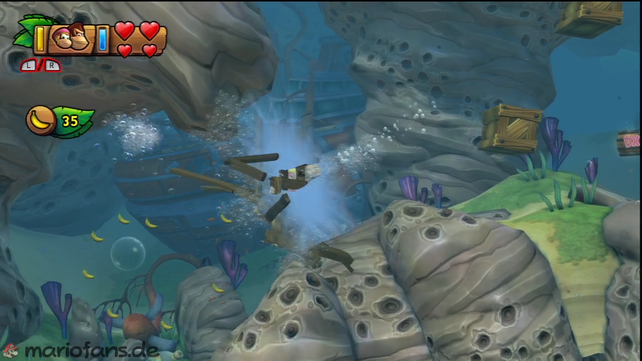 dkctf_l_w1_l2_015