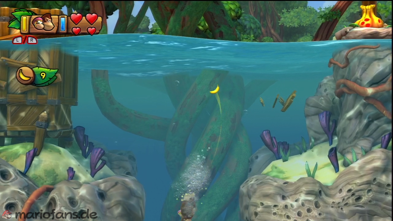 dkctf_l_w1_l2_021