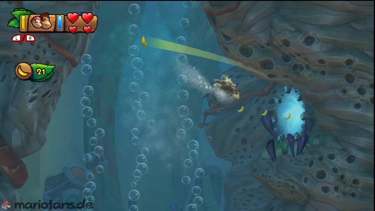 dkctf_l_w1_l2_022