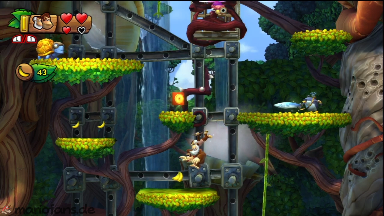 dkctf_l_w1_l3_006