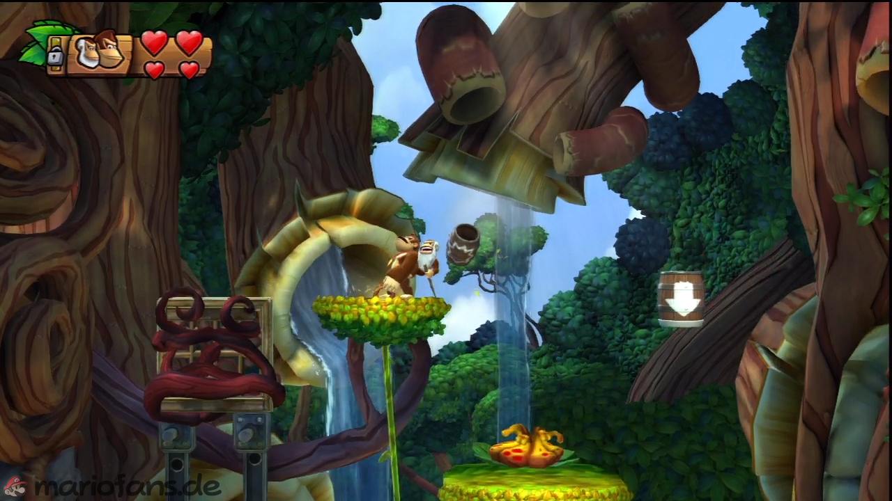 dkctf_l_w1_l3_007