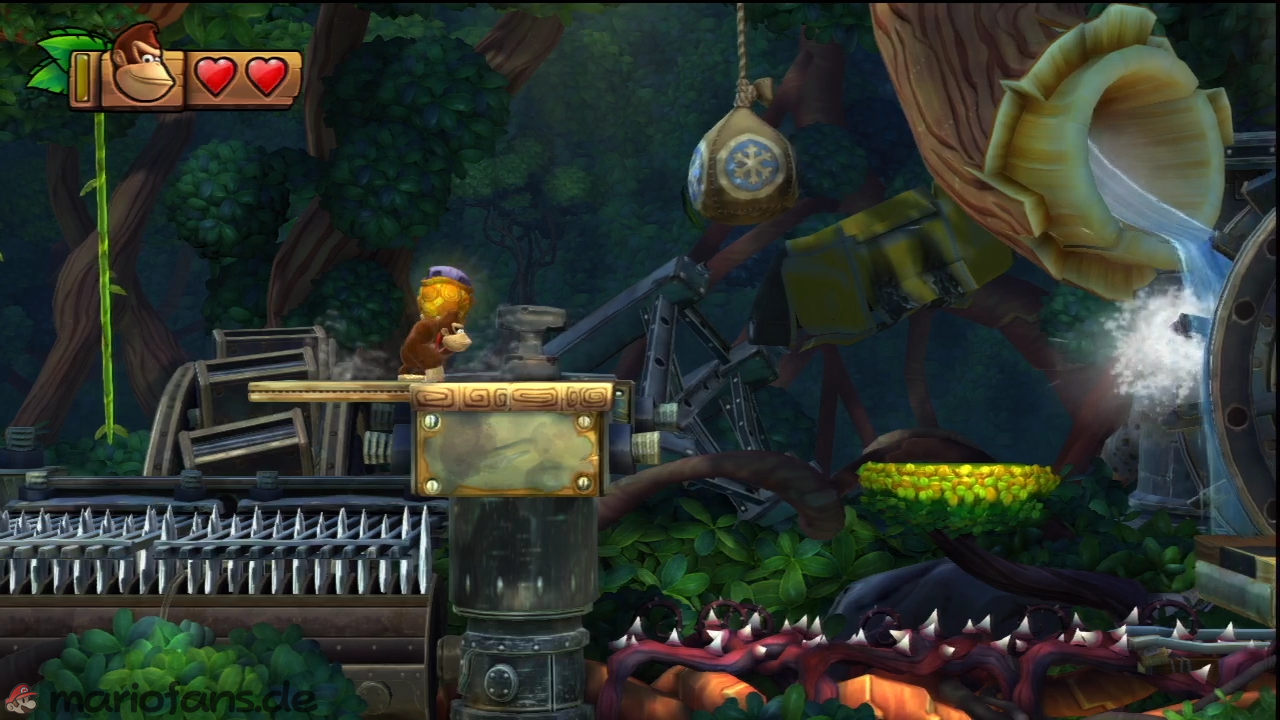 dkctf_l_w1_l3_010