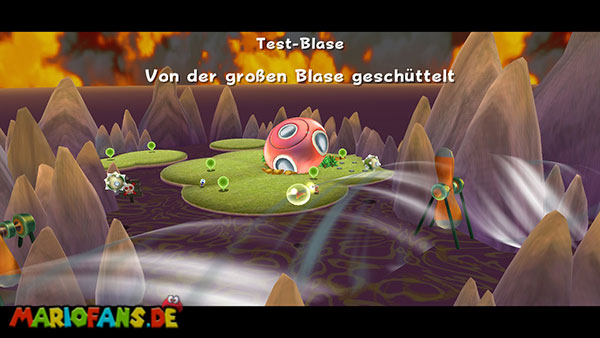 Test-Blase