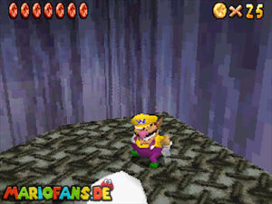 sm64ds_l_secret_069