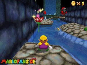 sm64ds_l_secret_073