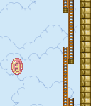 SMB2_World7-2_mapE